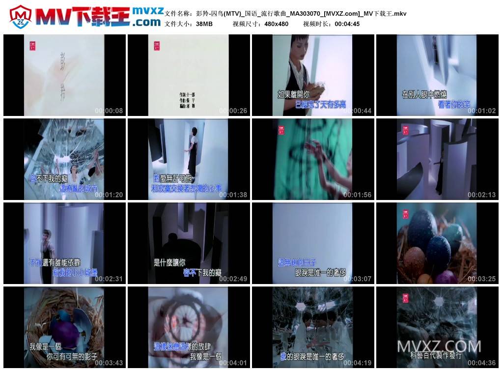 彭羚-囚鸟(MTV)_国语_流行歌曲_MA303070